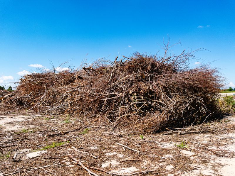 Brush and Debris Clearing