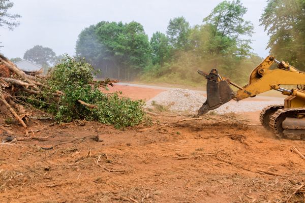 Cost of Ground Clearing in Cypress