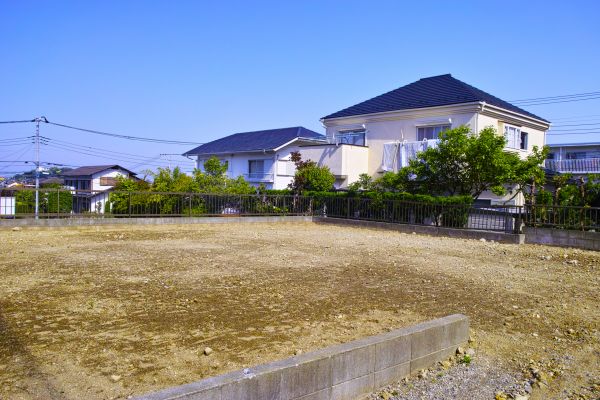 Cost of Lot Clearing Service in Cypress