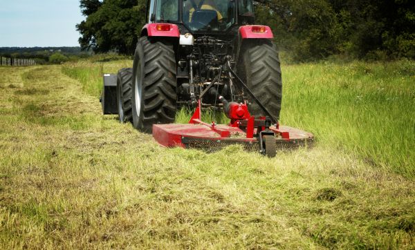 Cost of Brush Clearing Service in Cypress