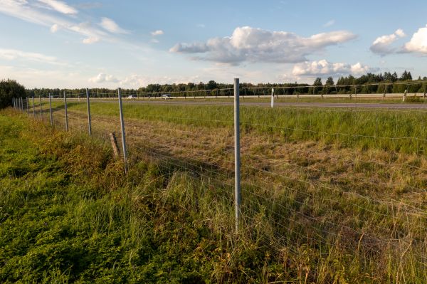 Cost of Property Line Clearing in Cypress